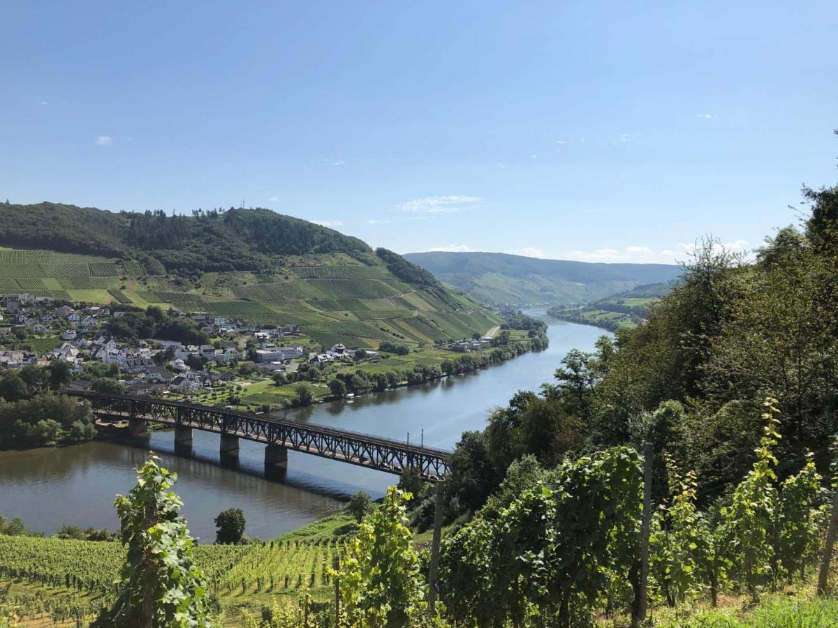 Spitzhaus Wolf Traben-Trarbach Exterior photo